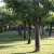 campingyuste (16)